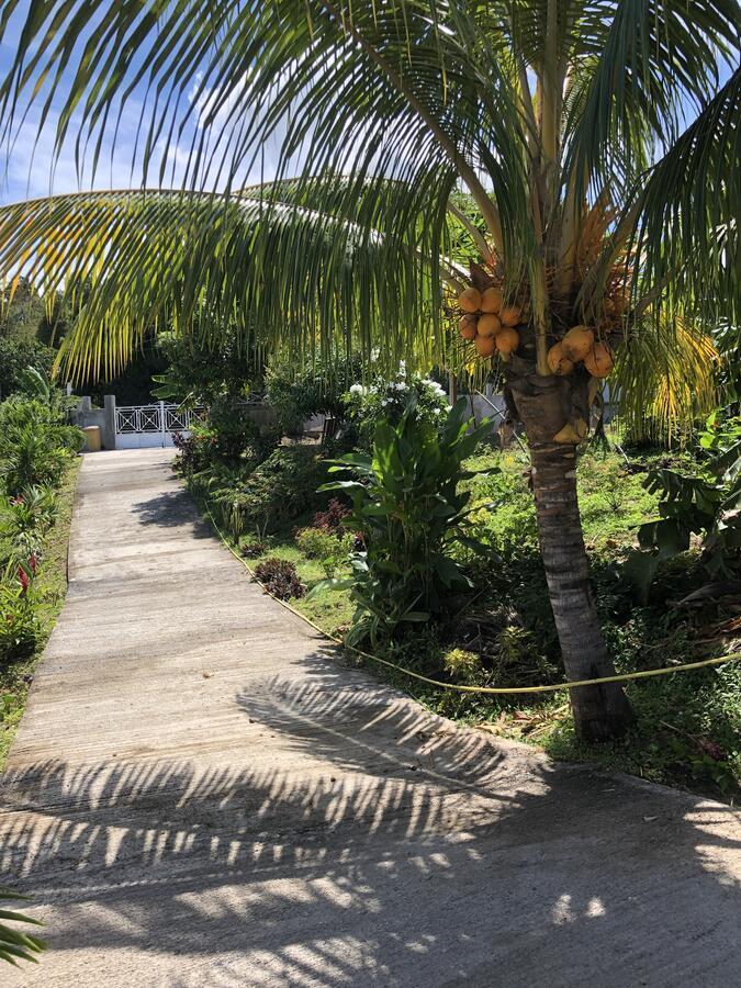Le Val De Lys-Piscine Privee Villa Vieux-Habitants Dış mekan fotoğraf